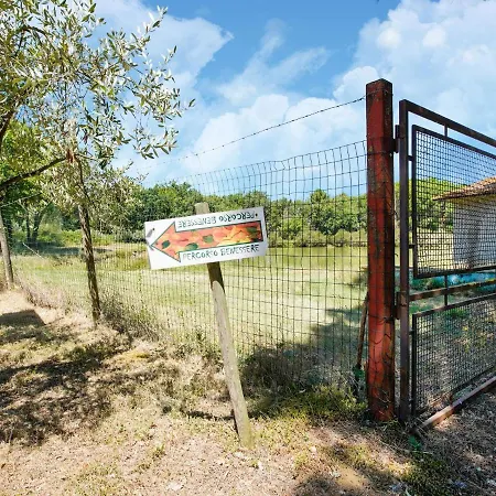 Vibrant In Castiglione Del With Pool Holiday home