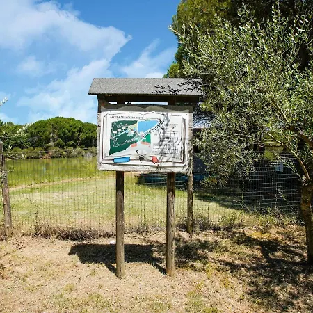 Vibrant In Castiglione Del With Pool